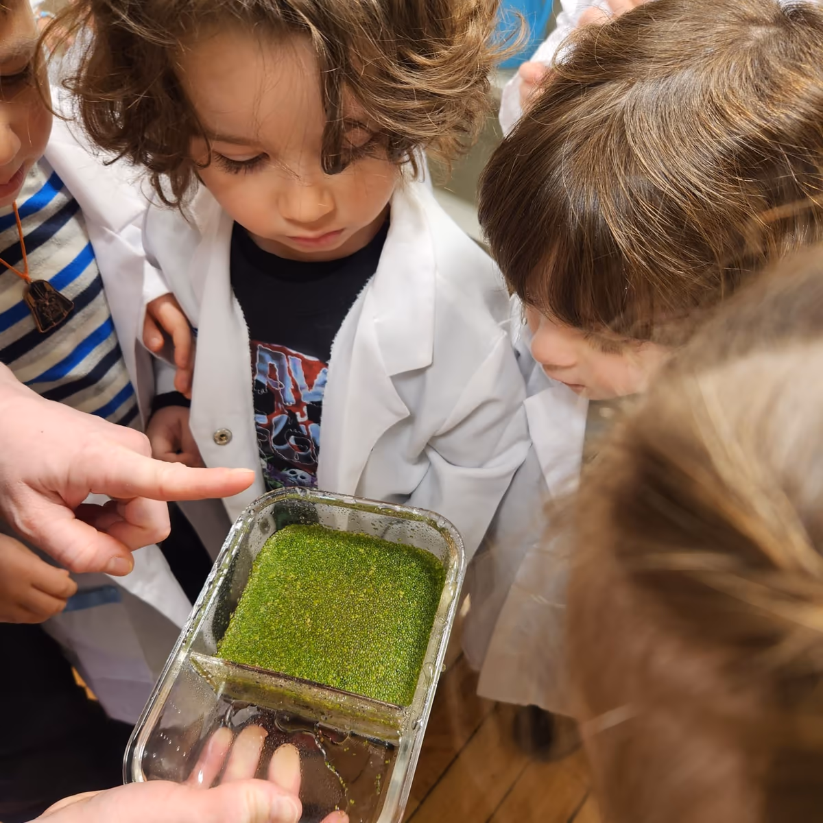 Children planting in a hydroponics class at a daycare in FiDi.